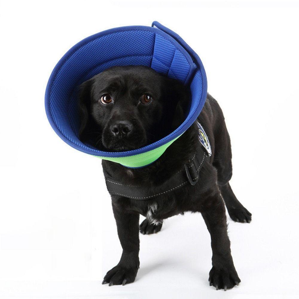 Breathable Dog Recovery Collar Dog Neck Cone Dog Elizabethan Collars Wound Healing Protection