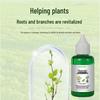2 Bottles Plant Revive Nutrient Liquid For Yellow Leaves Plant Vital Care Solution