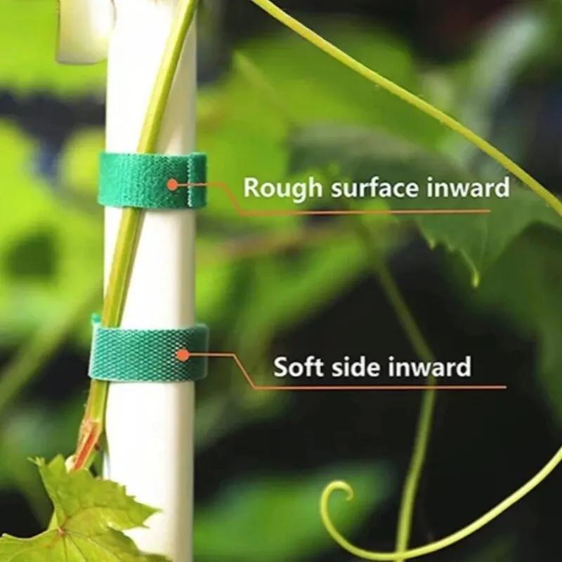 5M/3M Nylon Plantasjebånd Knytebånd Gjenbrukbare Plantekrok Løkkebånd Grønt Festetape Bambusstokk Innpakningsstøtte Hagehjemtilbehør