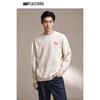 Peacebird Men's Casual Knit Pullover