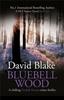 Bluebell Wood by David Blake Paperback Book 9781916347991