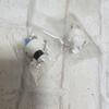 Used Chiikawa Kurazushi Figure Keychain First Edition Bikkurapon