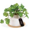 Kishima Mini Monstera Artificial Faux Never Air Plant, Greenery, Withers, Catalyst, Deodorizing, Antibacterial, Purifying, KH-61253