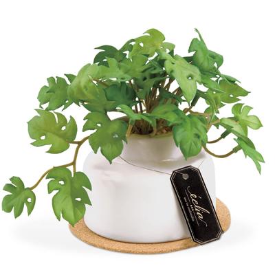 Mini Monstera Artificial Faux Never Air Plant, Greenery, Withers, Catalyst, Deodorizing, Antibacterial, Purifying, KH-61253