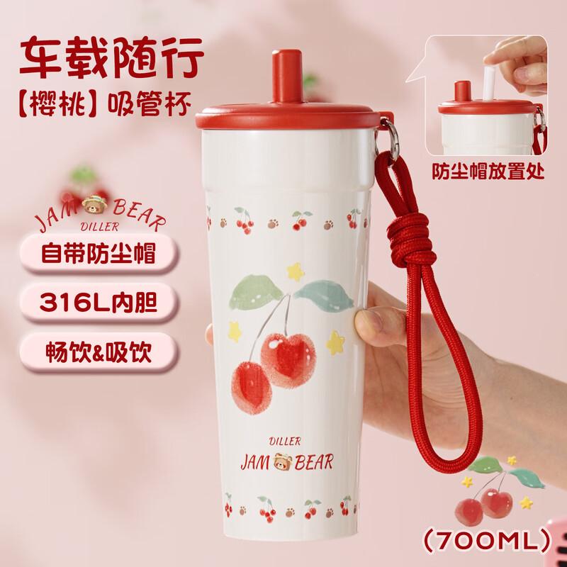 Diller Dual-Drink Insulated Stainless Steel Water Bottle for Kids  Ladies