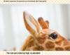 Giraffe & Sika Deer Plush Dolls: Adorable Photography Props and Surprise Gifts for Kids