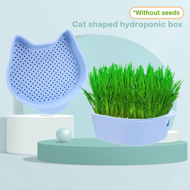 

Mint Cat Grass Pot Soilless Hydroponic Lazy Cat Grass Planting Box Catnip Promote Digestion Cat Snacks Planting Container Tools 5