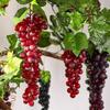 1Pcs Realistic Plastic Artificial Grapes Bunches Simulation Fake Fruit with Leaves for Vintage Home Decor Party Table Display