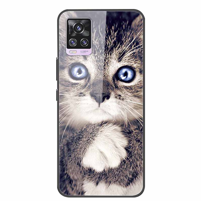 Glass Back Cover For Vivo V20 Pro 5G Case Coque Hard Tempered Glass Case For Vivo V20 Pro 2020 Phone Case Cover Soft Bumper Para