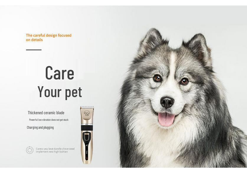 Kuanger Pet Electric Hair Trimmer Set for Dogs & Cats