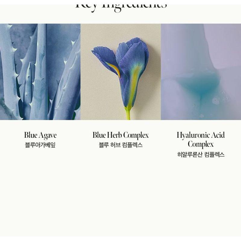 anillO - Shower Time Scented Hand & Body Wash