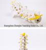 Natural Lumbar Vertebrae with Coccyx Model - Teaching Tool