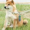 Pet Waste Bag Portable Reusable Lighting LED Environmentally Friendly Poop Picking Up ABS Pet Dog Waste Bag Holder Pet Supplies