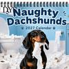 Thick Paper Activity Tracker Naughty Dachshunds Wall Calendar 2027, Funny Sausage Dog 12-Month Calendar, Hilarious Lover Gift Ideas Monthly