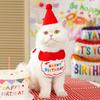 Pet Birthday Hat And Bib Adjustable Party Hat with Embroidered Bib Cute