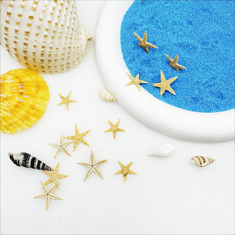 1 Box of 110pcs Tiny Sea Star Natural Starfish Seashell Ocean Theme Ornament for DIY Beach Wedding Decoration Fish Tank Decor