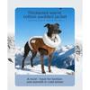 Sleeveless Warm Vest for Dogs In Autumn and Winter, Suitable for Small and Medium-sized Dogs
