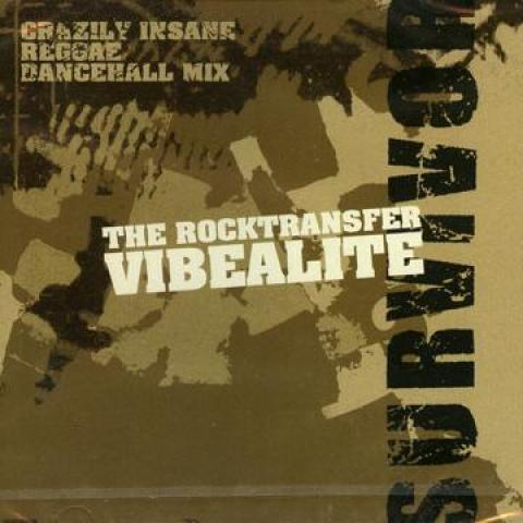 

Mix CD VIBEALITE Survivor VMCD004 Vibealite JPN Japan Japanese Club Dance