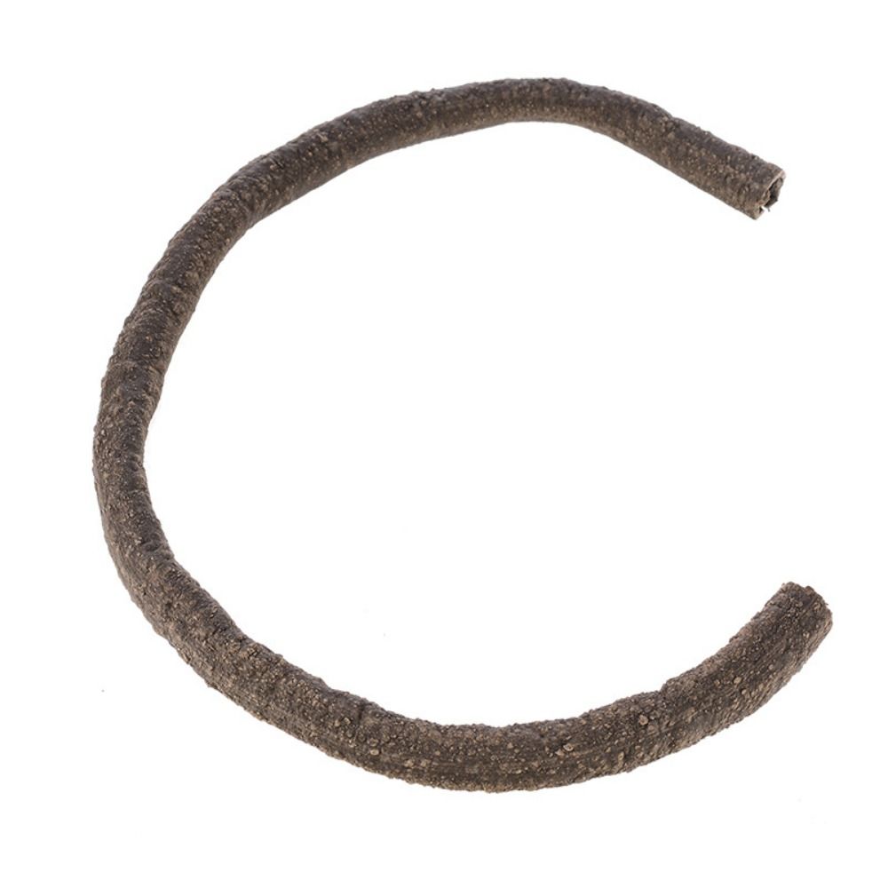 

with Suction Cup Flexible Reptile Vines 0.5/1M Lizards Climbing Vines Landscaping 1M-Style D