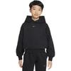 Nike Kids Sweatshirts Hooded Moderate FD4014-010