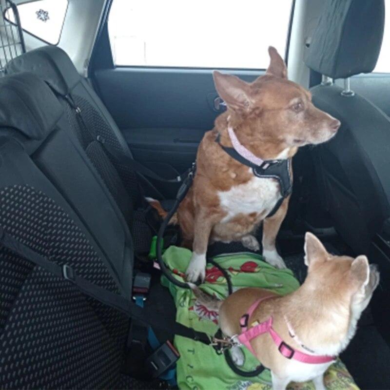 1pcs Nylon Pet Car Seat Belt Lead Leash Two-in-one Safety Belt Adjustable Dogs Collar Pet Travel Walking Accessories Supplies