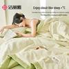 JieLiYa Class A Xinjiang Cotton Summer Quilt