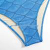 Russian Fish Scale Mesh Long Sleeve Swimsuit