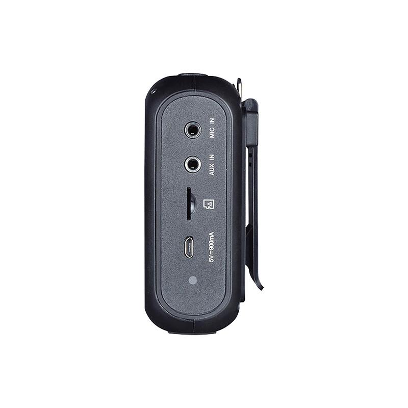 TAKSTAR E270 Portable Voice Amplifier