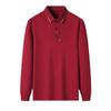 Lapel Long-sleeved T-shirt Men's Embroidered Trendy T-shirt Spring and Autumn New Men's Polo Top