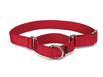 Premier Collar for Size S Dogs, Red, (Width 1.9cm)