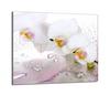 Glass Hob Protector 60x52 Orchid