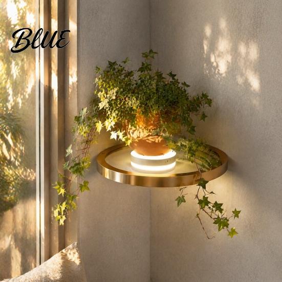 Modern Gold Metal Display Shelf Floating Wall with LED Light Rack Warm Ambient Light for Plants Book Space Saving Mounted Decor Hidden Bracket Sleek