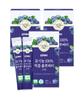 GNM Organic 100% NFC Cold-Pressed Blueberry Sticks 3 Boxes (Total 42 Sticks) / Blueberry Juice Blueberry Extract