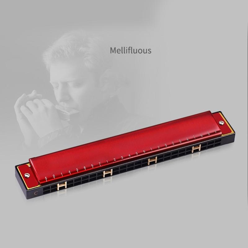 24-Hole Professional Harmonica for Beginners, Diatonic Double Tremolo Harmonica for Adults Music Student Teacher Gift