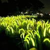 Solar Foxtail Light LED Foxtail Grass Solar-Powered Garden Light Decorative Light-up Foxtail Plant for Outdoor Yard Patio Lawn