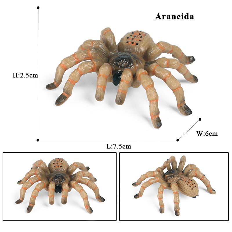 Oenux Insekten Tiere Modell Spinnennetz Skorpion Fledermaus Actionfiguren Figur Miniatur Niedlich Pädagogisch Kinder Spielzeug Halloween Geschenk