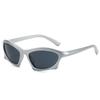 Lunettes de soleil Femmes Hommes Marque Design Miroir Sport Luxe Vintage Unisexe Lunettes de Soleil Hommes Conducteur Conduite Lunettes de Vue Nuances