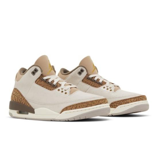Air Jordan 3 JRetro Palomino Men's CT8532-102
