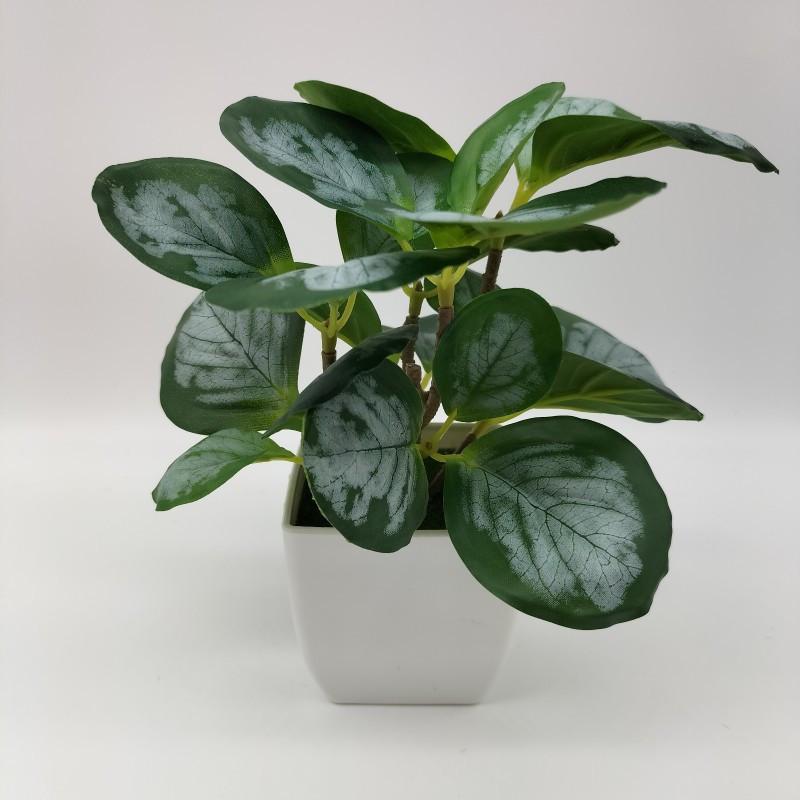 Umelé rastliny Bonsai Malý strom Simulovaný aloe Strom Črepníkové rastliny Falošné kvety Kancelársky stôl Črepníkové ozdoby Dekorácia do domácej záhrady