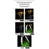 Solar String Lights Outdoor 10M LED XPE Waterproof Fairy Lights 5 Modes Silver Wire Lights for Garden Yard Party DIY Decorative