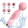 Female Clitoris G Spot Vibrator Adult Toy Pink