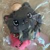 NCT Wish Doll Mini Kuri (Unused Sealed)