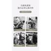 LED Kids Safety Harness for Electric Bike, Motorcycle Children Seat Fixing Strap, Portable Riding Carrier Belt for Scooter Cycling Outdoor Use