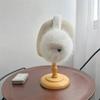 Foldable Winter Earmuffs Soft Plush Ear Covers New Ear Warmers  for Women