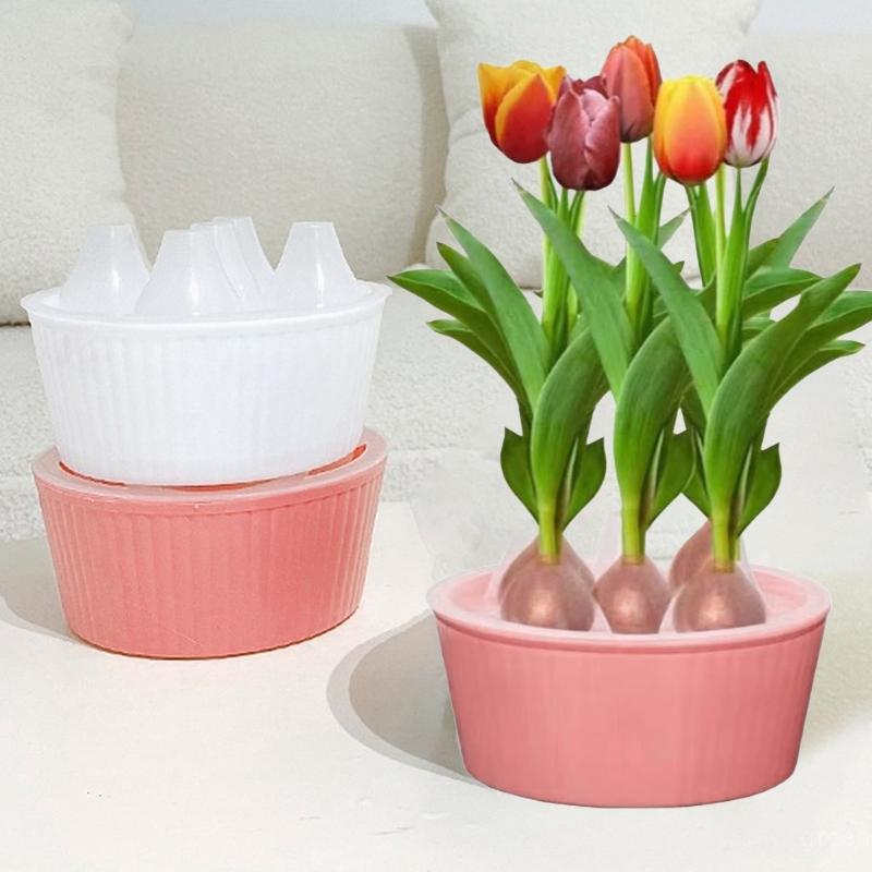 Special Hydroponic Flowerpot Hyacinth Narcissus Tulip Bulbs Seeds 3/5 Holes Lazy Flowerpot Water Planting Pot Desktop Decoration