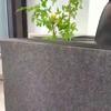 Housse de protection anti-griffures pour canapé, tapis anti-griffures pour chat, autocollants muraux auto-adhésifs pour canapé, pour que les chats fassent leurs griffes, jouets pour chatons