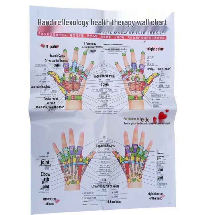 Comprehensive Acupoint Diagram: Human Body, Ear, Foot, Sole & Palm Charts for Massage Therapy and Tuina