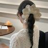 Elegant Lace Scrunchie Hair Tie Soft Fabric Hair Accessory For Women Girls Daily Party Wedding Casual Prom Occasion