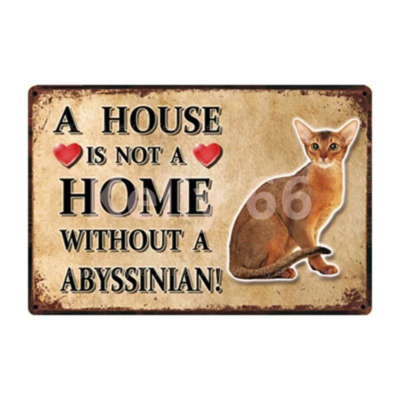[ Kelly66 ] Pets Cat Bombay Siamese Burmese Birman Abyssinian Metal Sign Home Decor Bar Wall Art Painting 20*30 CM Size Dy147