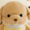 New Doll Sembert Dog Doll Plush Toy Cute Poodle Doll